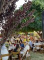 “عصرونية غير… بنسمة خير” دعماً لصندوق تعليم أبناء “أهلنا”