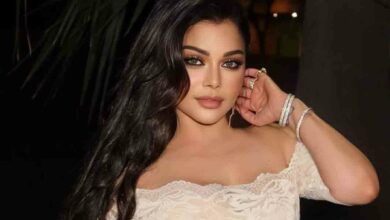 هيفا وهبي تدخل عالم الكوميديا قريبًا…