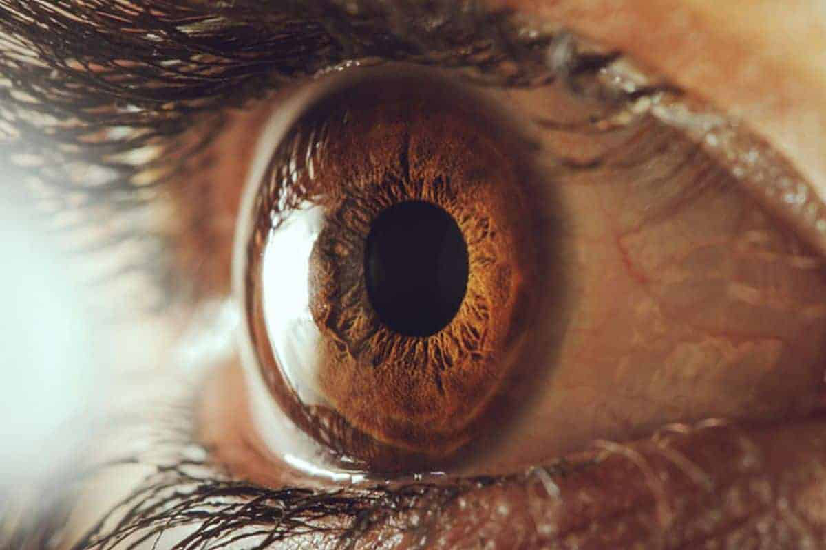 أصحاب حدقة العين الكبيرة أكثر ذكاء