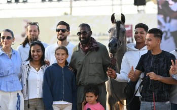 مهرجان “أصيل”.. تعاون مميز بين د. حاتم ستين وياسمين ثروت لإحياء تراث الخيل المصرية