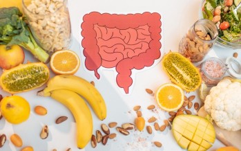 7 فواكه وخضراوات قليلة الألياف مريحة للأمعاء والقولون 7 فواكه وخضراوات قليلة الألياف مريحة للأمعاء والقولون