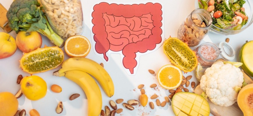 7 فواكه وخضراوات قليلة الألياف مريحة للأمعاء والقولون